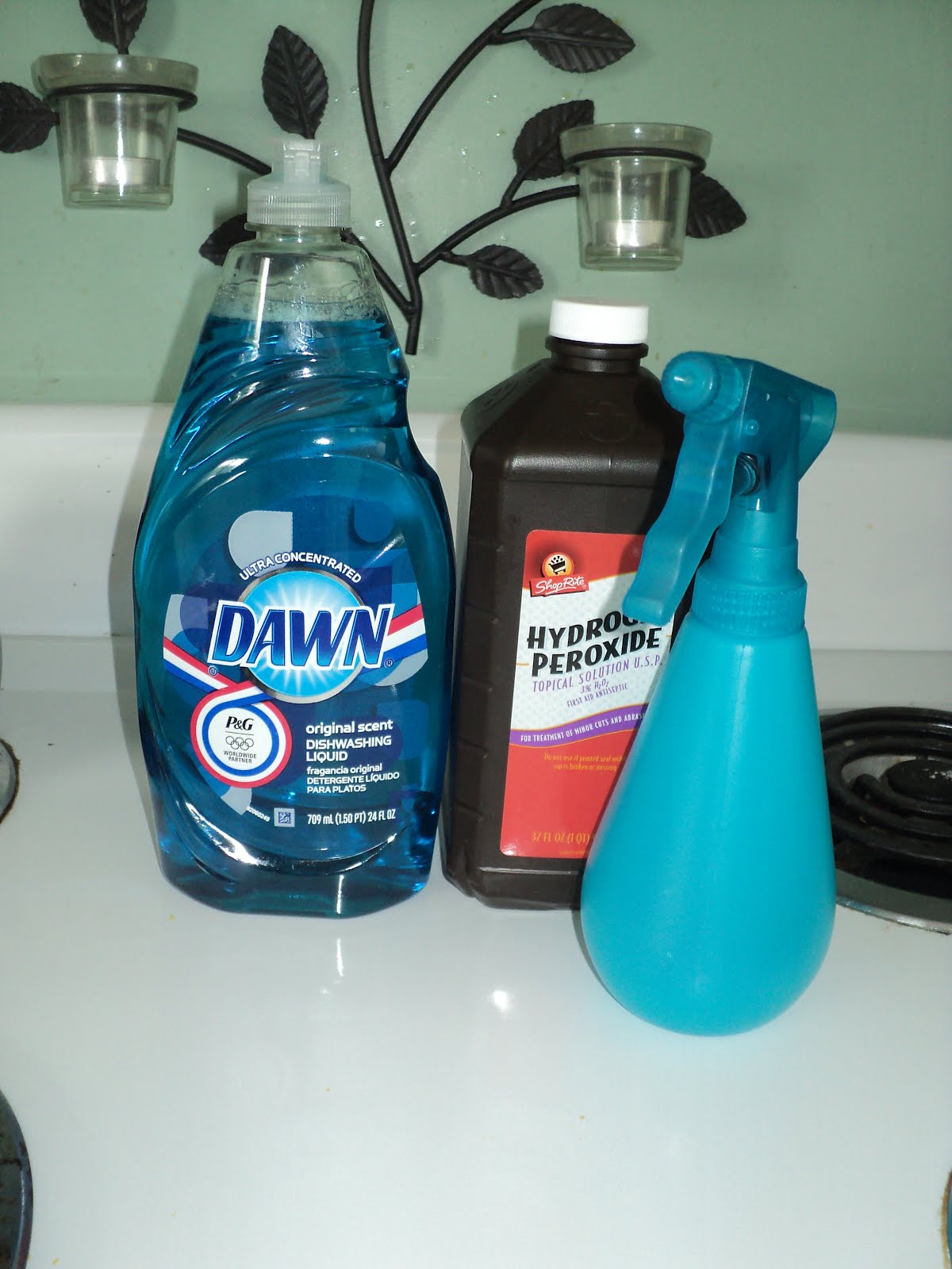 Stories from the Shoe Real Crunchy Step Stain Remover Plus