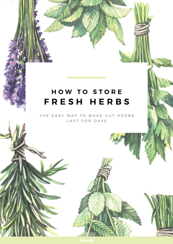 How To Store Fresh Herbs by Eliza Ellis