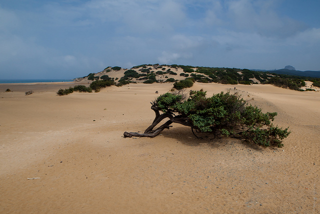 dune Piscinas Sardegna