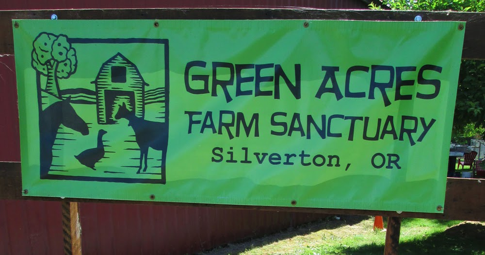 Oregon Gallery Green Acres Farm Sanctuary 5th Anniversary
