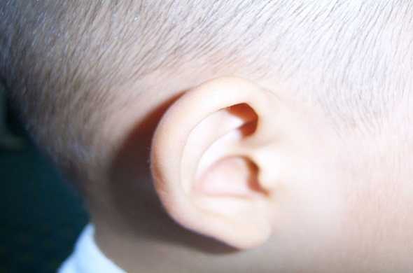 ear-and-hearing-sense-definition-تعريف-الاذن-و-حاسة-السمع