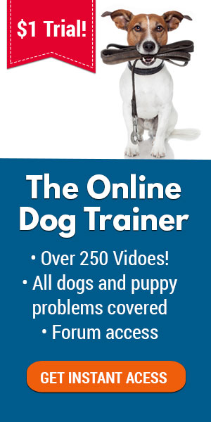 the online dog trainer review