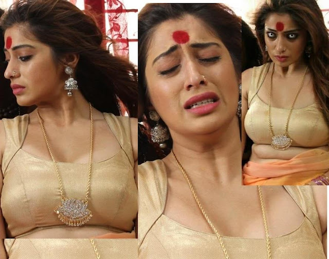 Laxmi Raai Hot in Transparent Saree and Golden Blouse | Sowkarpettai Tamil Movie Hot Spicy Devil Stills Navel Queens Laxmi Raai Hot in Transparent Saree and Golden Blouse | Sowkarpettai Tamil Movie Hot Spicy Devil Stills Navel Queens