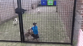 daily_gifdump_1520_19.gif