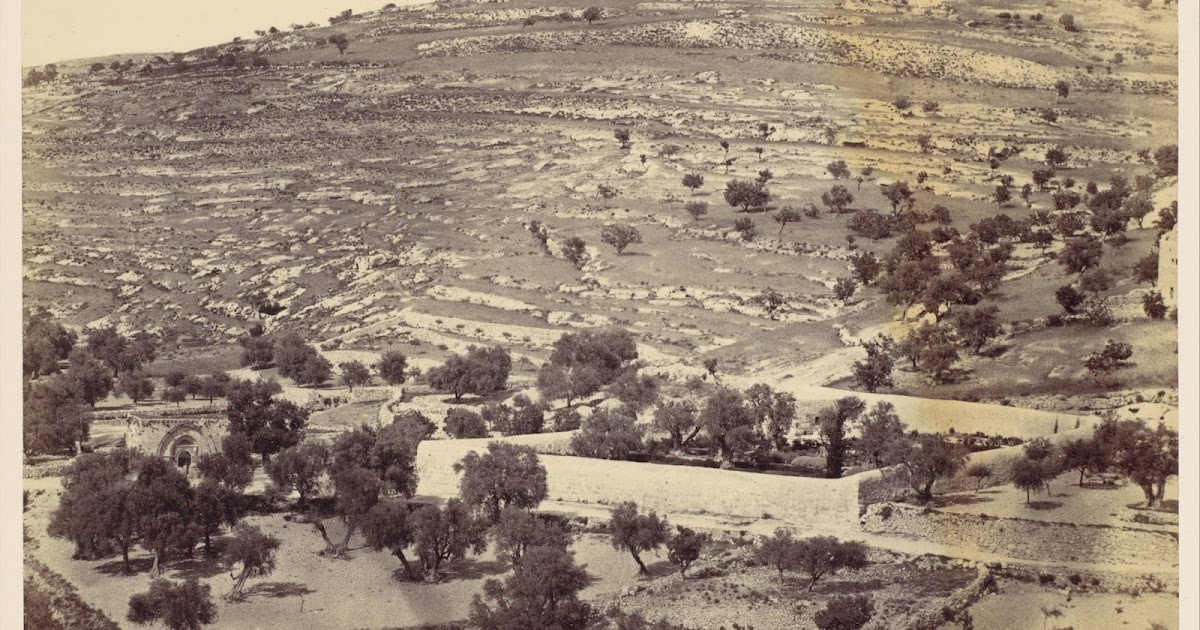 Archaeologist of the Soul The Mountains of Jerusalem