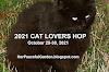 Seven years of 2021 Cat Lovers Hop!!