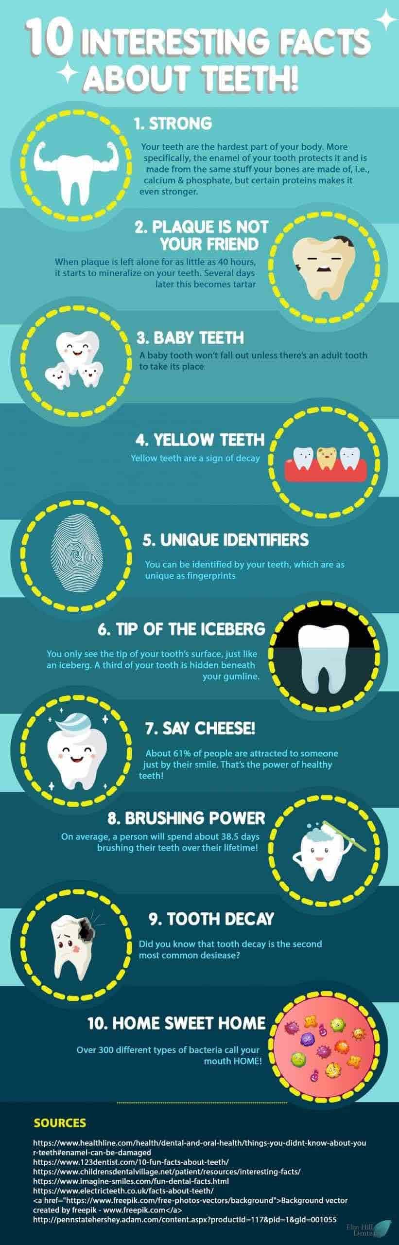10 Interesting Facts About Teeth #infographic