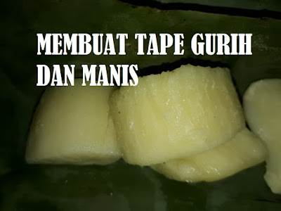 PROSES PEMBUATAN TAPE SINGKONG PROSES PEMBUATAN TAPE SINGKONG