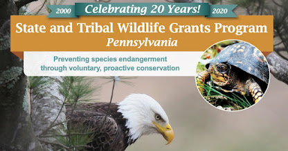 PA Environment Digest Blog: Fish & Boat Commission Accepting
