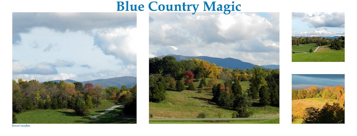 Tragical history of doctor faustus picture