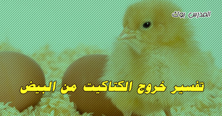 تفسير خروج الكتاكيت من البيض تفسير حلم خروج الكتاكيت من البيض