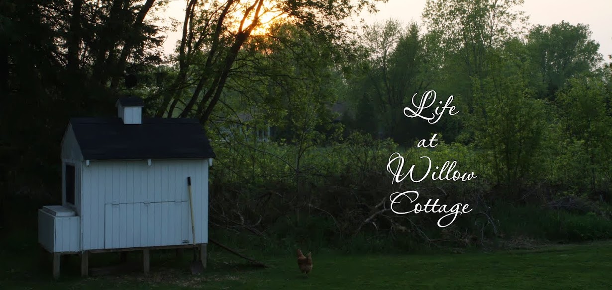                     Life At Willow Cottage