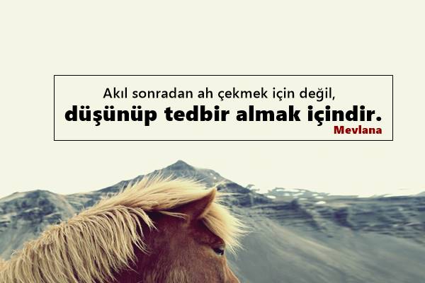 Tedbir İle İlgili Sözler Tedbir İle İlgili Sözler