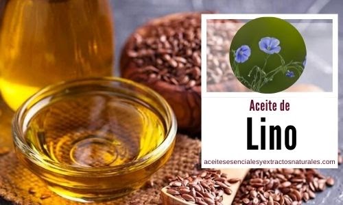 Aceite de semillas de Lino o Linaza