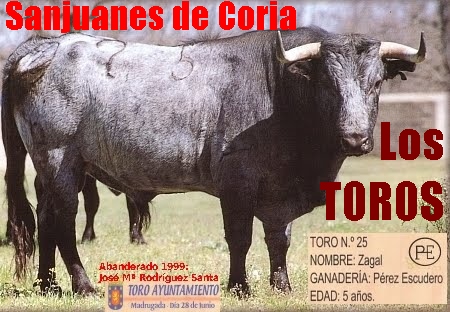 Sanjuanes de Coria. Los TOROS.