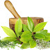 6 Benefícios Impressionantes da Gymnema Sylvestre Para a Saúde