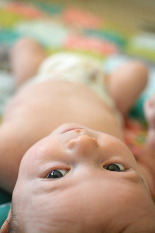 Ellis James, baby update - three months | My Darling Days Ellis James, baby update - three months | My Darling Days