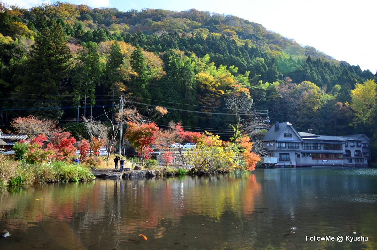 有種 旅行 九州紅葉自駕遊 由布院氣質楓景金鏻湖