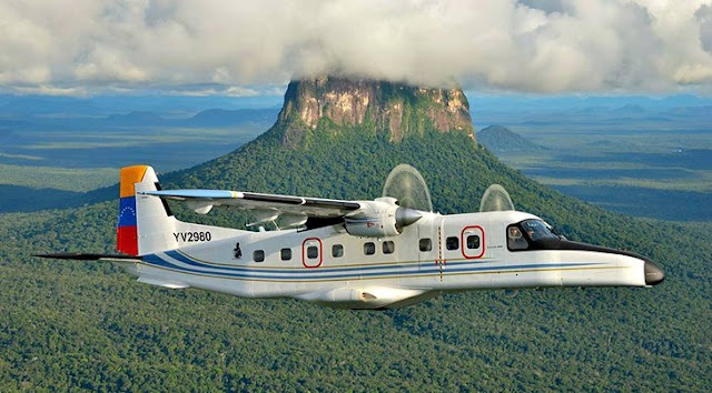 venezuela escarapela nacional ceo dir 119 cucarda insignias marcas aaet