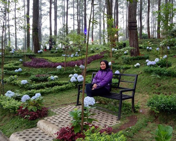 Orchid Forest Cikole Lembang