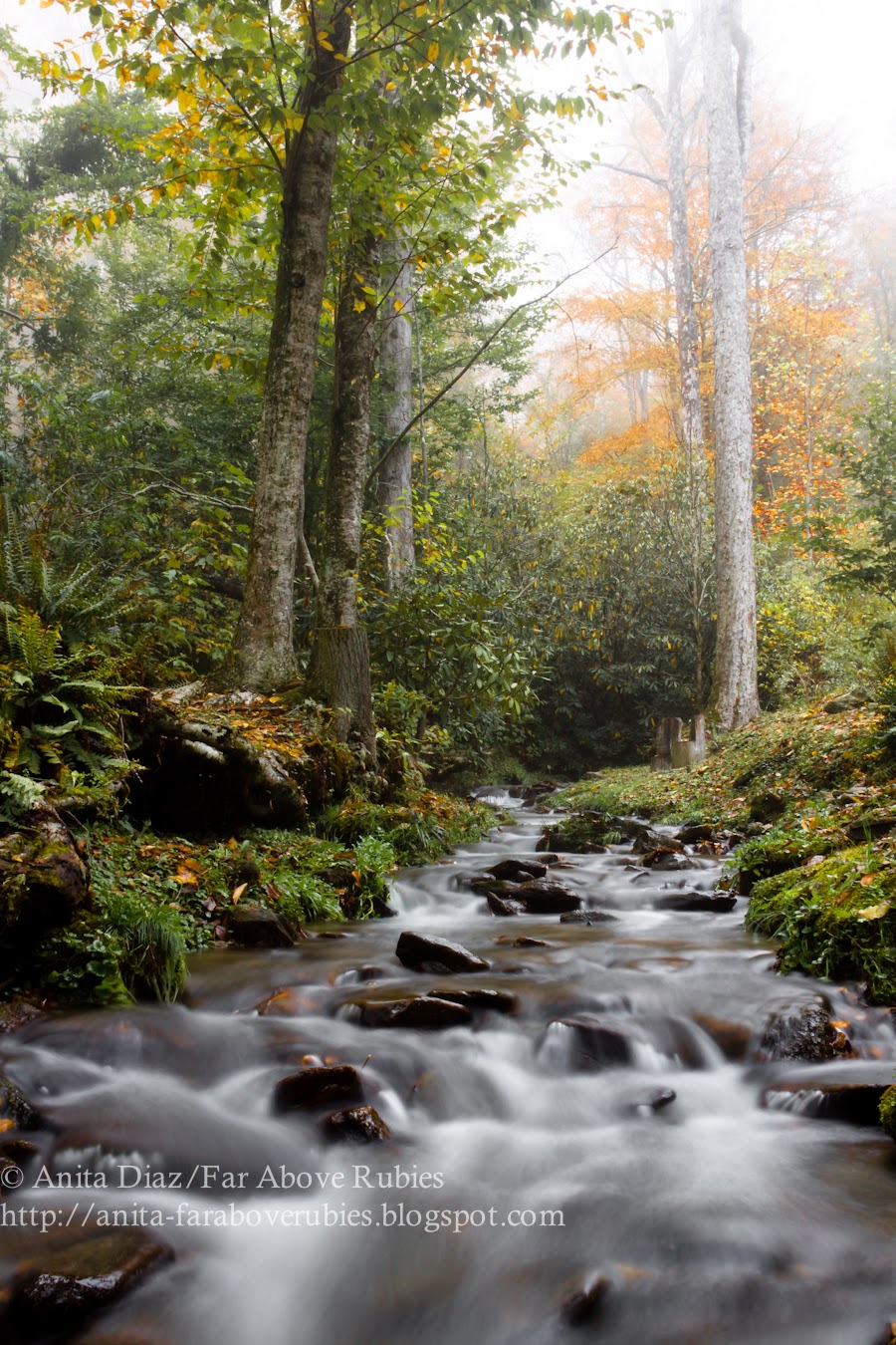 Smoky Mountain autumn