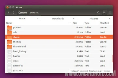 Lokasi Folder Steam Linux di Ubuntu