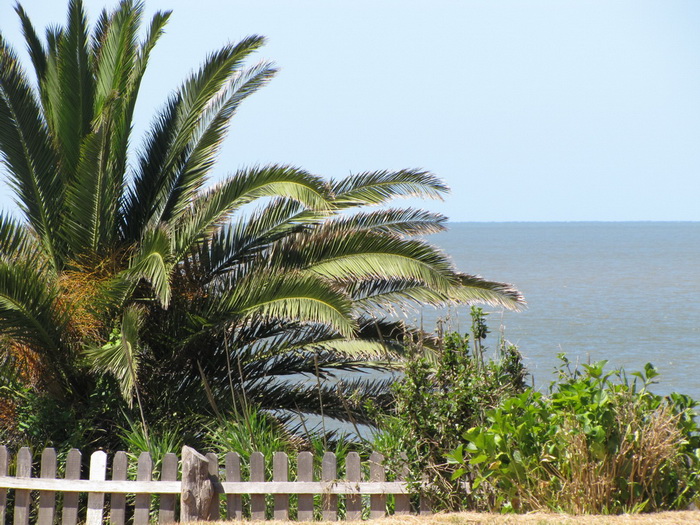Ferienhaus Uruguay La Floresta