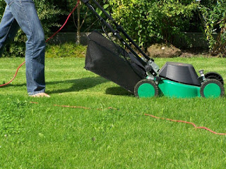 Lawn care business, mower
