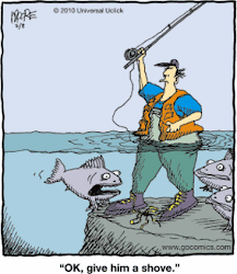 fishing funny fly cartoons quotes