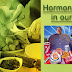 GMOs and Hormonal Balance in Women