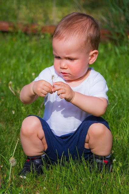 Kind betrachtet Blume auf einer Wiese
