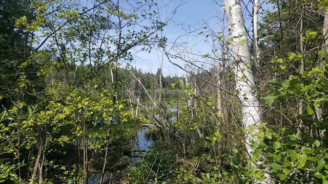 Sentier Yol au mont Kanasuta