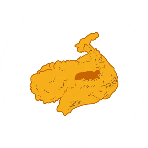 layanan