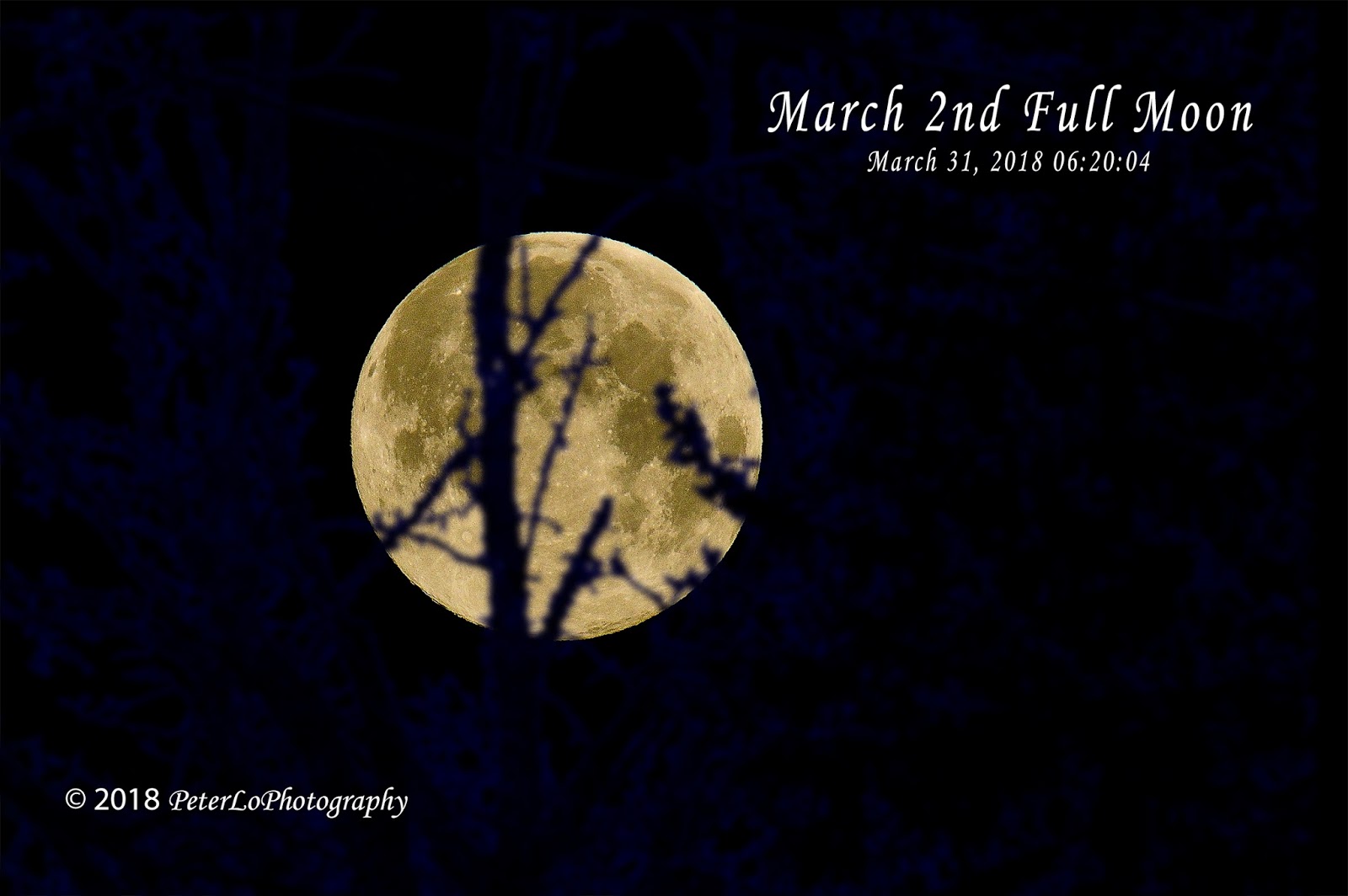 Full Moon In Toronto Canada March 2018
