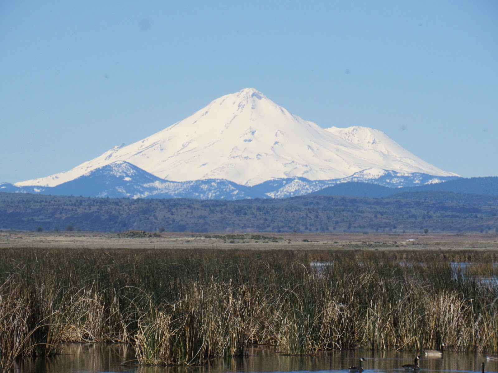 Vaughn the Road Again Tule Lake National Wildlife Refuge