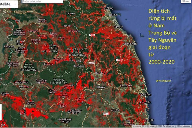 Sốc: Diện tích rừng ở Việt Nam bị mất trong vòng 20 năm qua