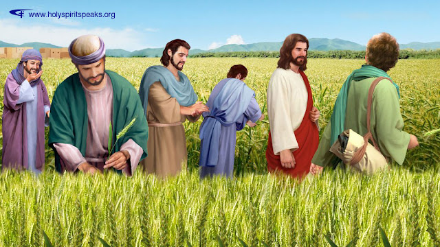 The Church of Almighty God, Eastern Lightning,  Lord Jesus,