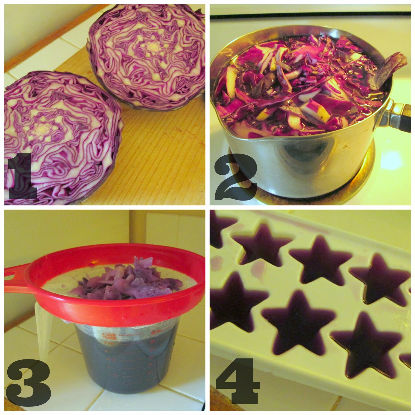 Make Your Own pH Indicator Using Red Cabbage The Science Kiddo