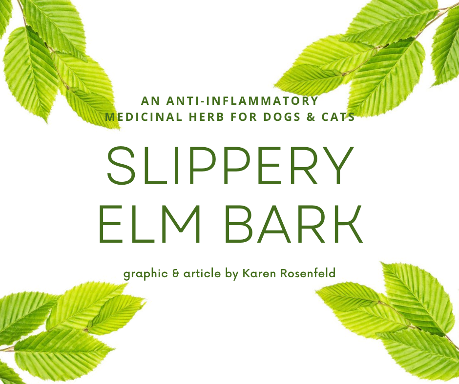 Ottawa Valley Dog Whisperer Slippery Elm Bark Herbs for Dogs and Cats