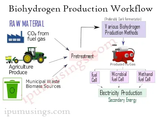 Biohydroden : An Alternative Renewable Energy Source - An Overview (#biochemistry)(#ipumusings)(#biofuels)