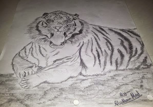 pencil shade realistic tiger pencil shade realistic tiger