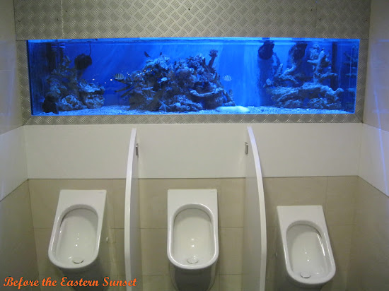 Aquarium inside the toilet of Cicerello's Landing