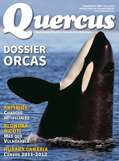 Orcas de Península Valdés un Dossier en Quercus 