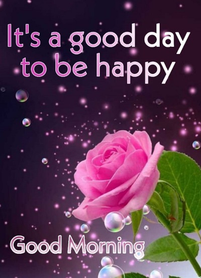 Top 50 Good Morning Quotes to Start the fresh Day Top 50 Good Morning Quotes to Start the fresh Day