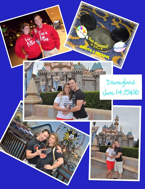 Real Disneyland Proposals - Krista and Michael