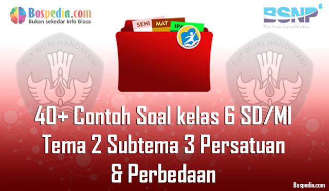 35+ Contoh Soal untuk kelas 6 SD/MI Tema 2 Subtema 3 Persatuan dan Perbedaan Terbaru