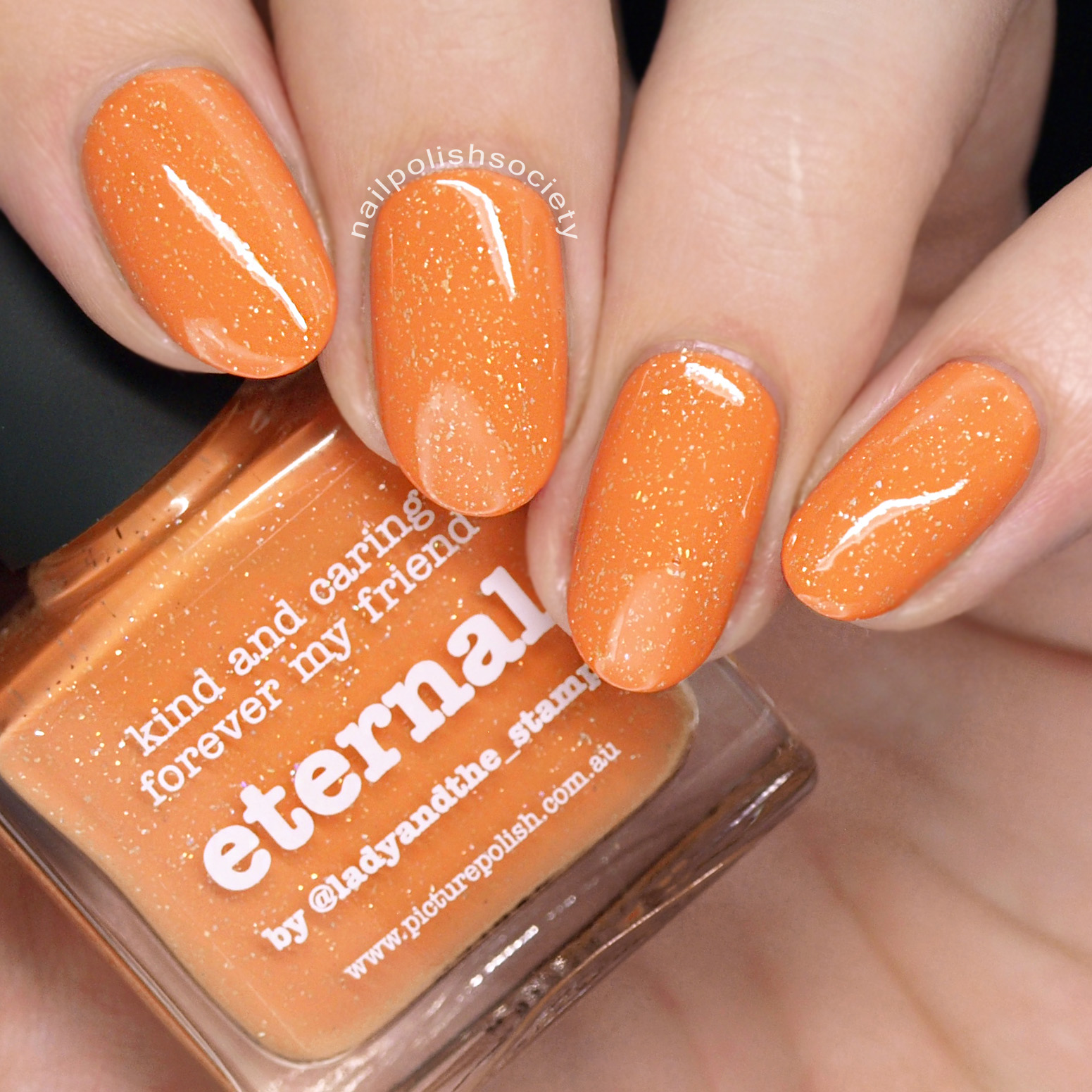 Nail Polish Society piCture pOlish Summer 2018 Release + Comparisons