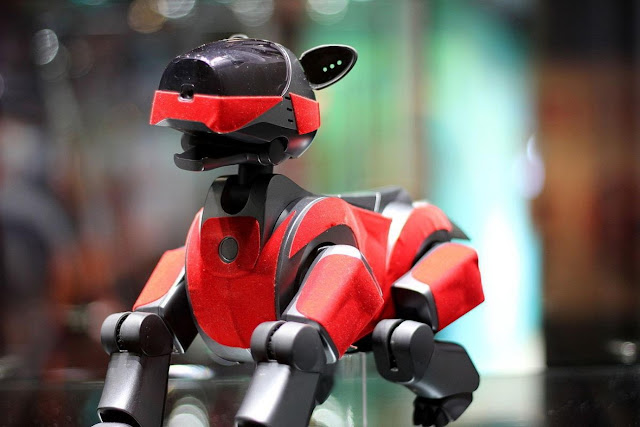 Даже роботпёс AIBO может быть мальчиком или девочкой — в зависимости от того, как его воспринимает хозяин (Фото: Sven Volkens [CC BY-SA 4.0])