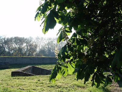 al encuentro con las flores