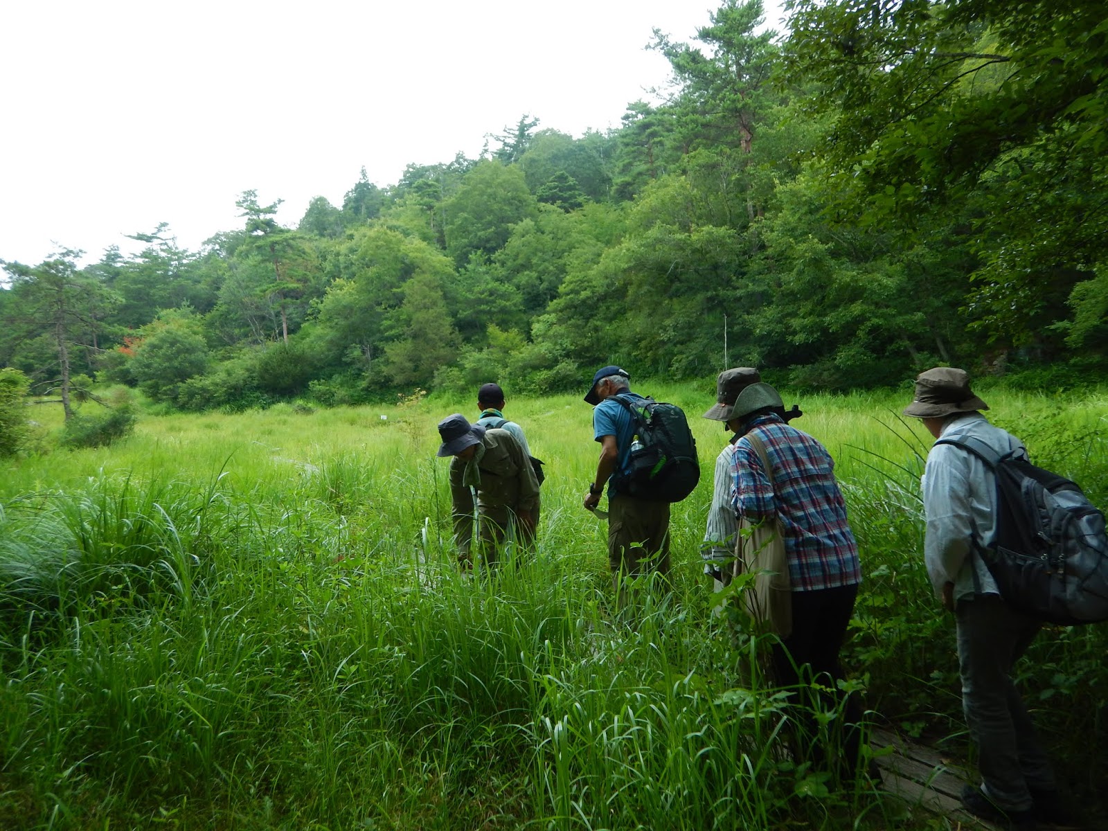 丸山湿原群保全の会 ガイド研修in岡山